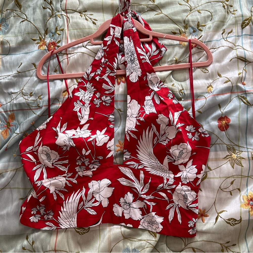 Express crop top, womens, NWT size large